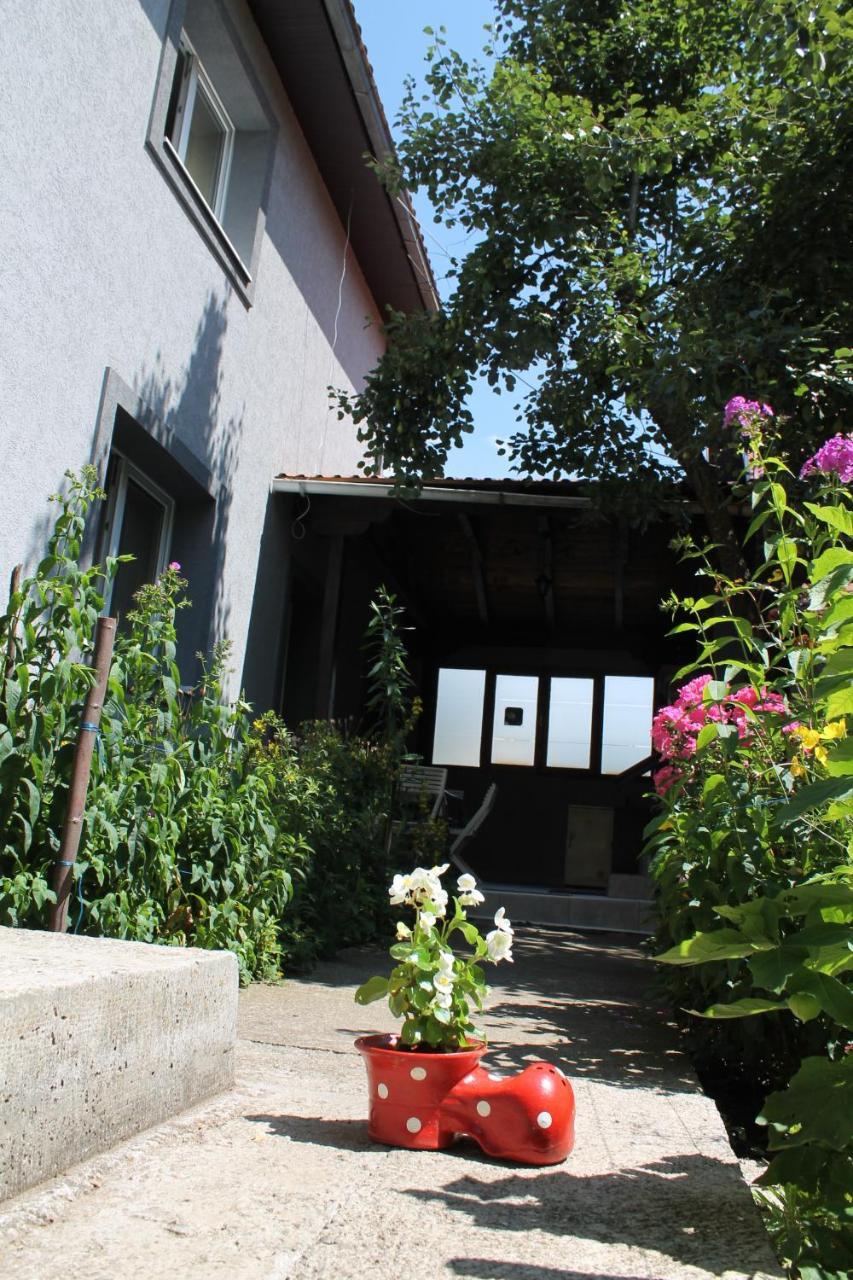 Guest Accommodation Bakic Kolašin Extérieur photo